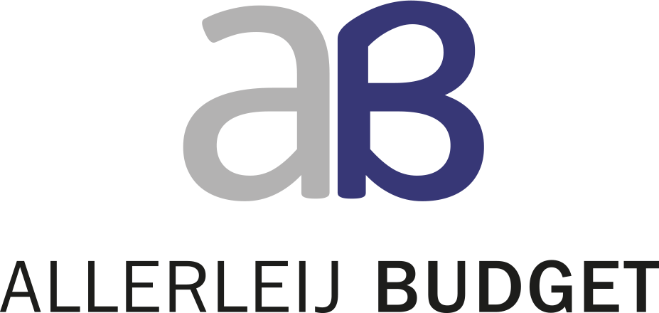 Allerleij Budget